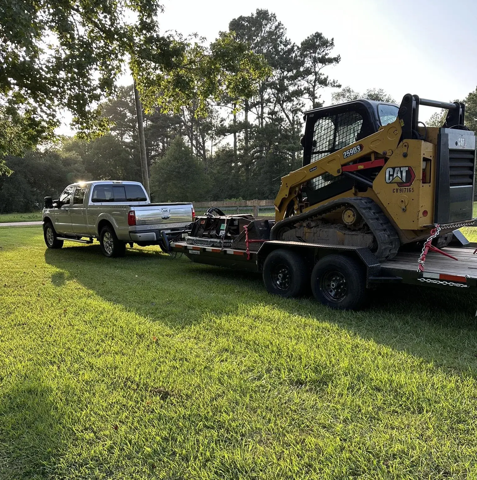 Tree Service
